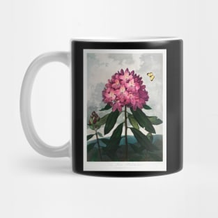The pontic rhododendron Mug